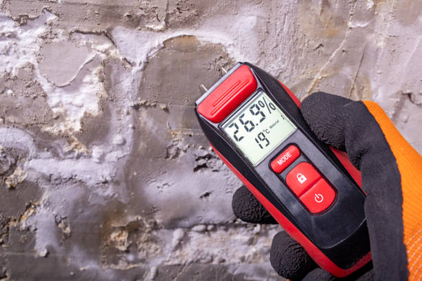 Mold Testing and Removal in Cozad, NE